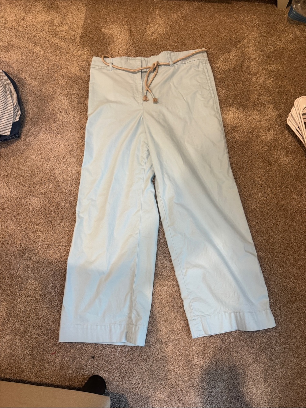 Talbots Light Blue Wide Leg Pants with Drawstring